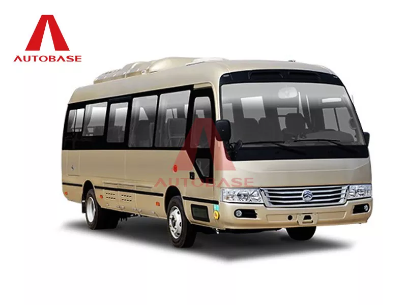 Grand Coaster D8 Pure Electric